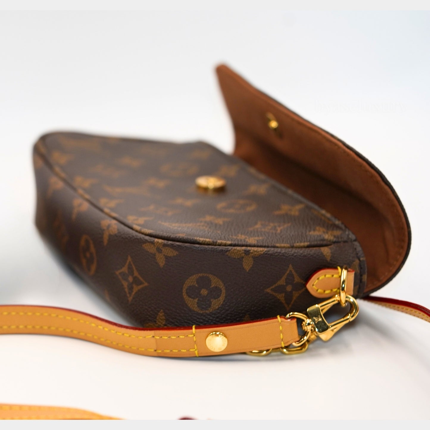 Louis Vuitton Pochette Accessoires Monogram Canvas Çanta