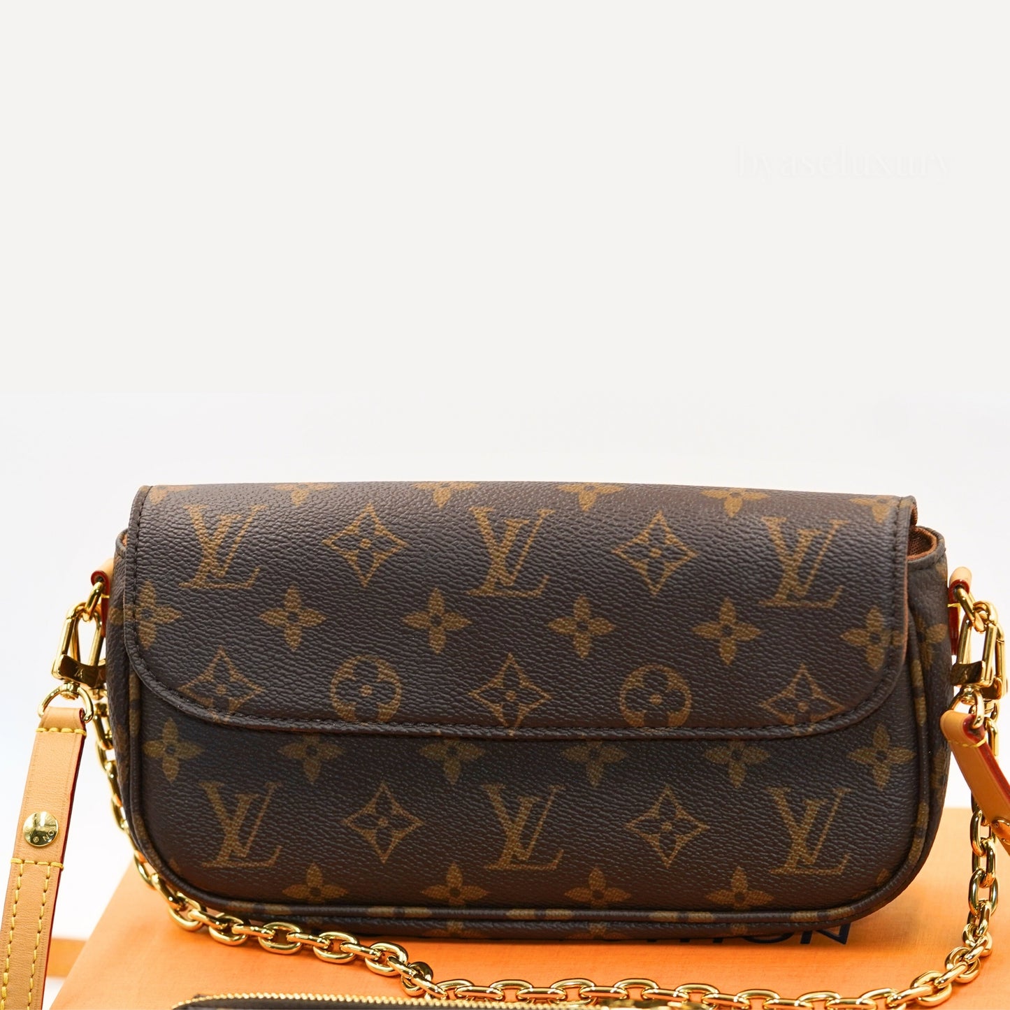 Louis Vuitton Pochette Accessoires Monogram Canvas Çanta